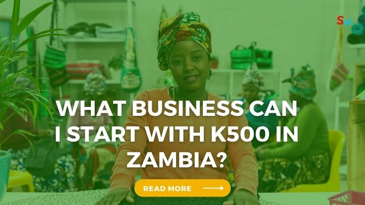 What business can I start with k500 in Zambia?