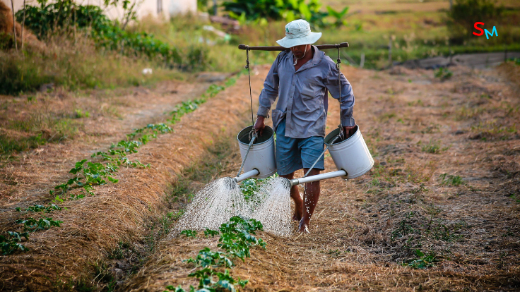 Startup to Empower 125,000 Nigerian Farmers